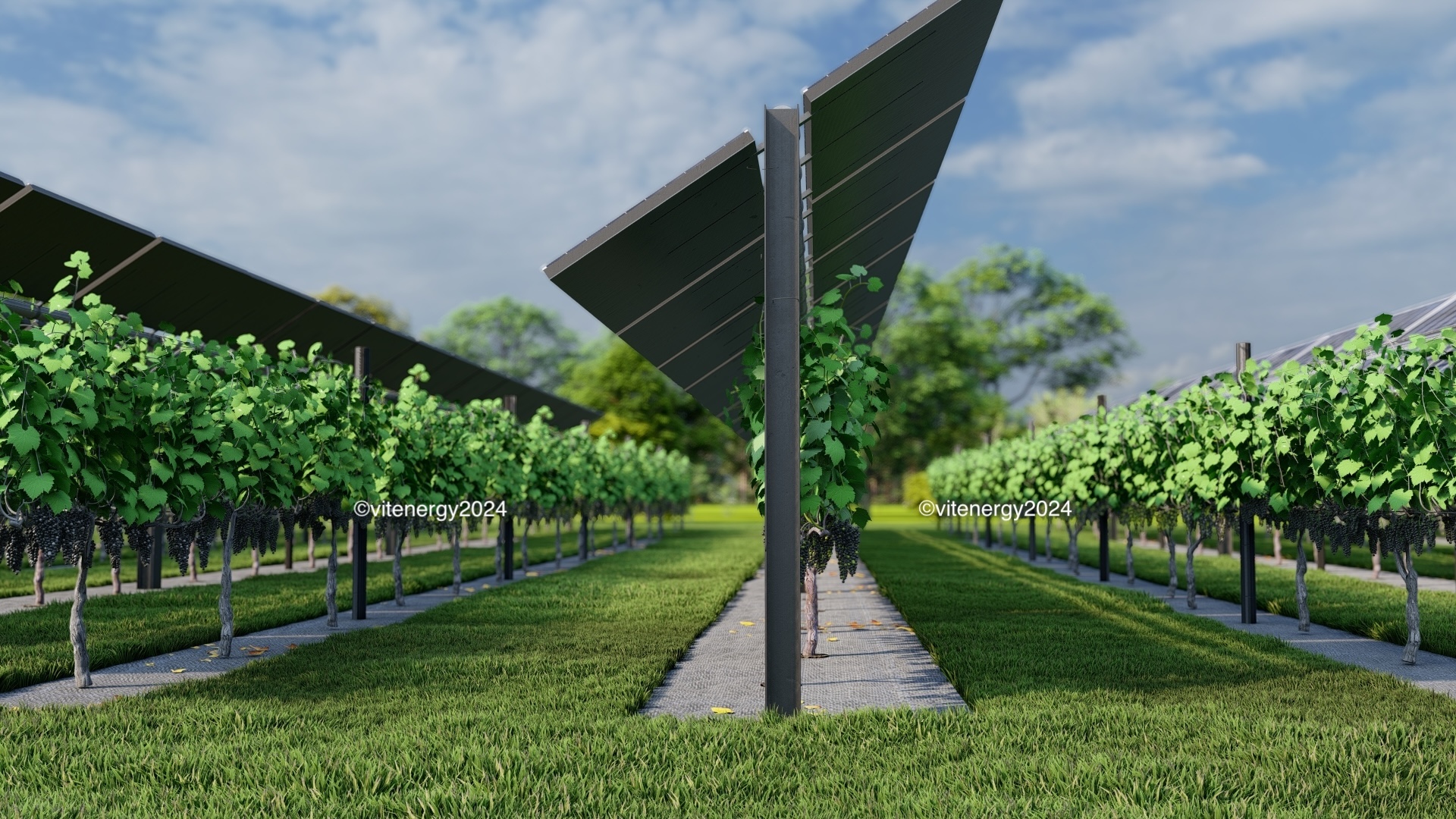 Sistema Agrivoltaico VitEnergy - Vigneti con pannelli solari integrati
